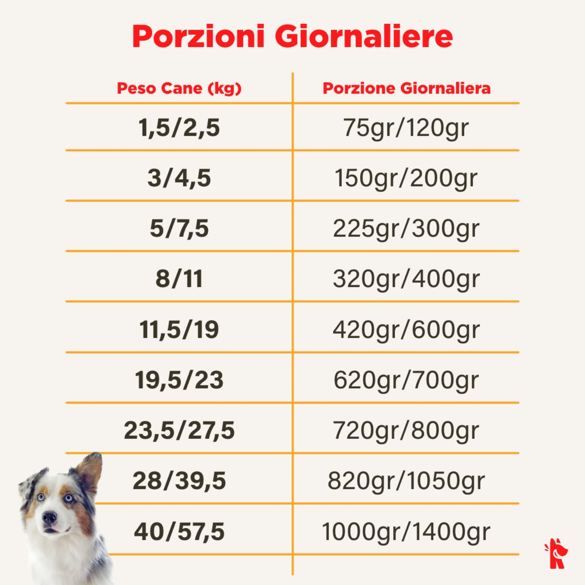 Real Bowl Alimento Completo Fresco Cotto per Cani al Pollo con Carote Senza Cereali Grain Free