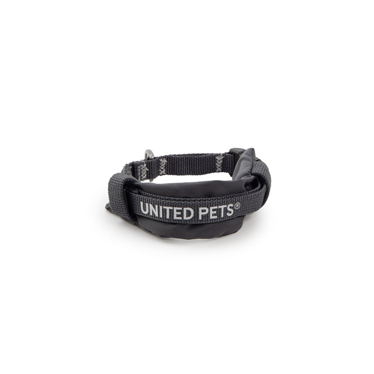 United Pets Collare per Cani con Sottocollo Imbottito Linea CityLife Grigio Antracite