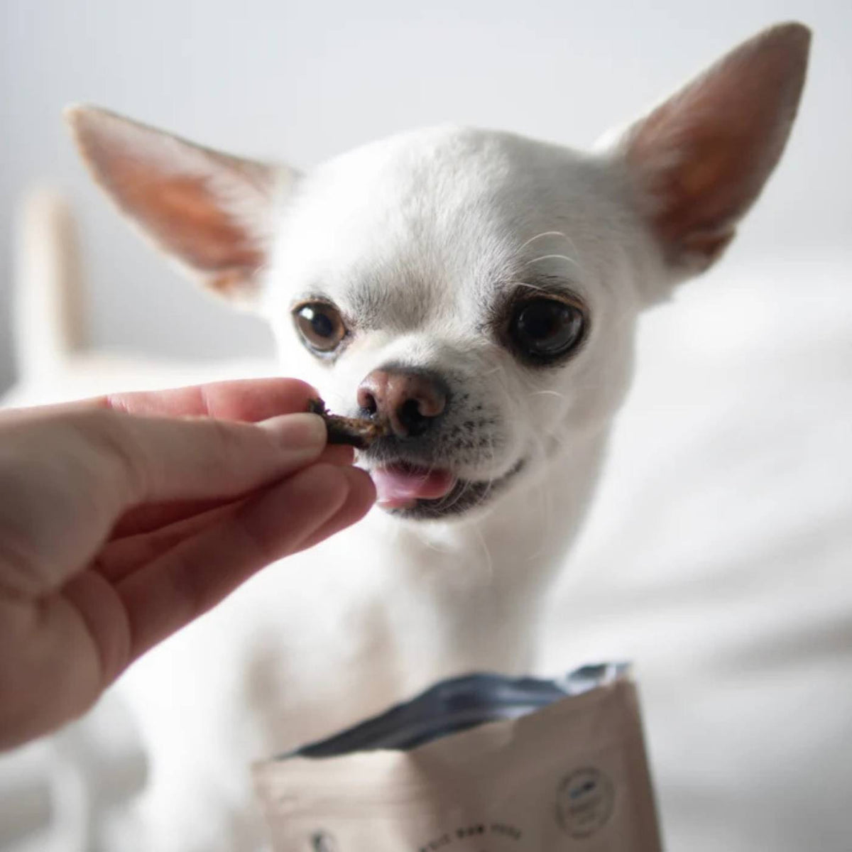 Pala Alimento Completo per Cani con Coniglio Aringa & Salmone Ricetta N° 4