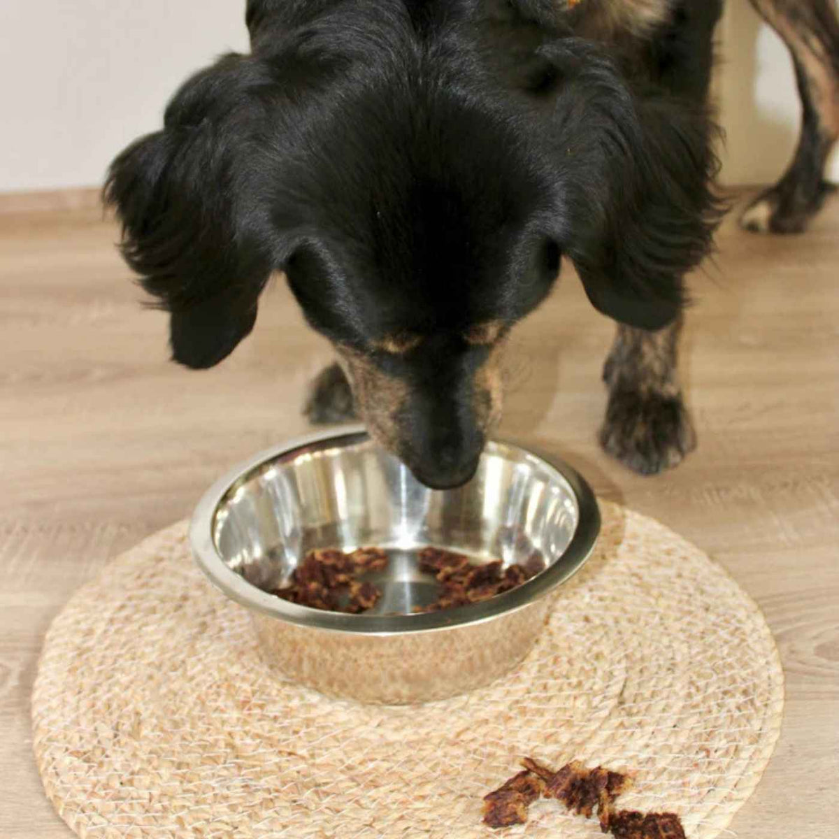 Pala Alimento Completo per Cani con Coniglio Aringa & Salmone Ricetta N° 4