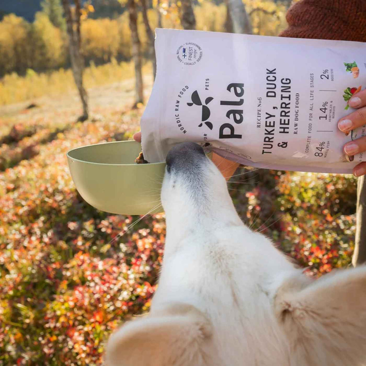 Pala Alimento Completo per Cani con Tacchino Anatra & Aringa Ricetta N° 6