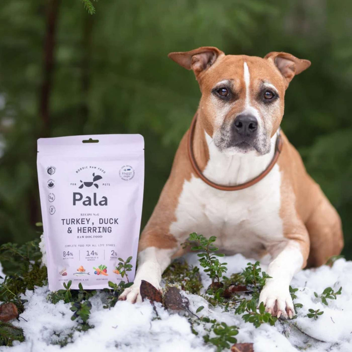 Pala Alimento Completo per Cani con Tacchino Anatra & Aringa Ricetta N° 6