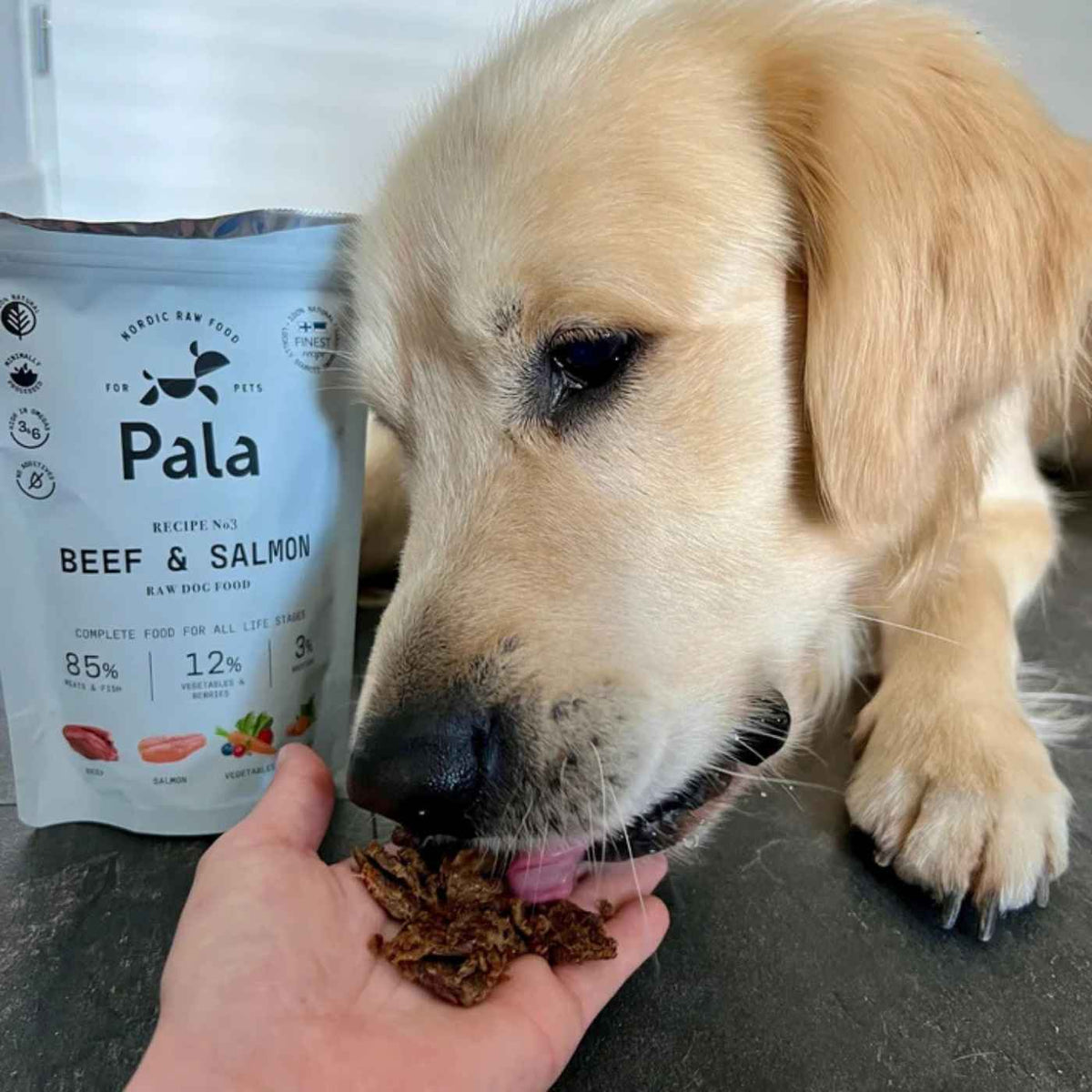 Pala Alimento Completo per Cani con Manzo & Salmone Ricetta N° 3