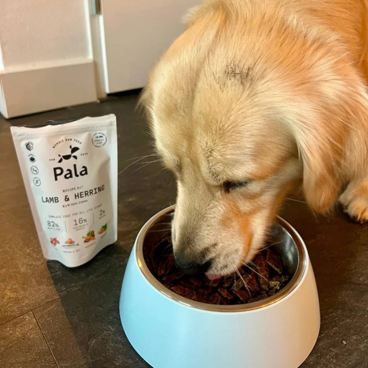 Pala Alimento Completo per Cani con Agnello & Aringa Ricetta N° 7