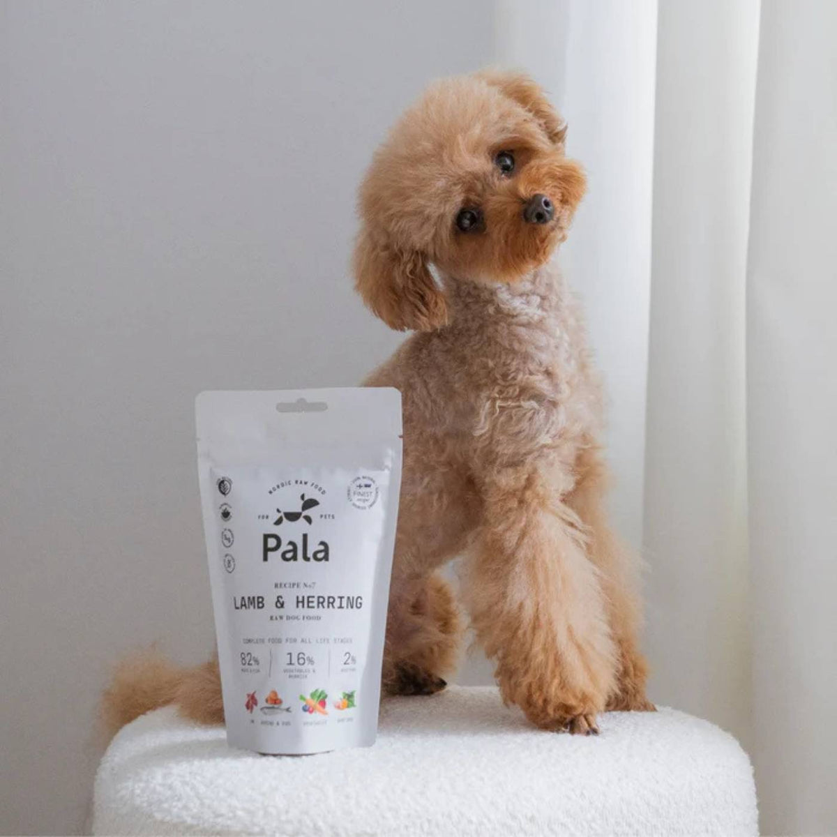 Pala Alimento Completo per Cani con Agnello & Aringa Ricetta N° 7