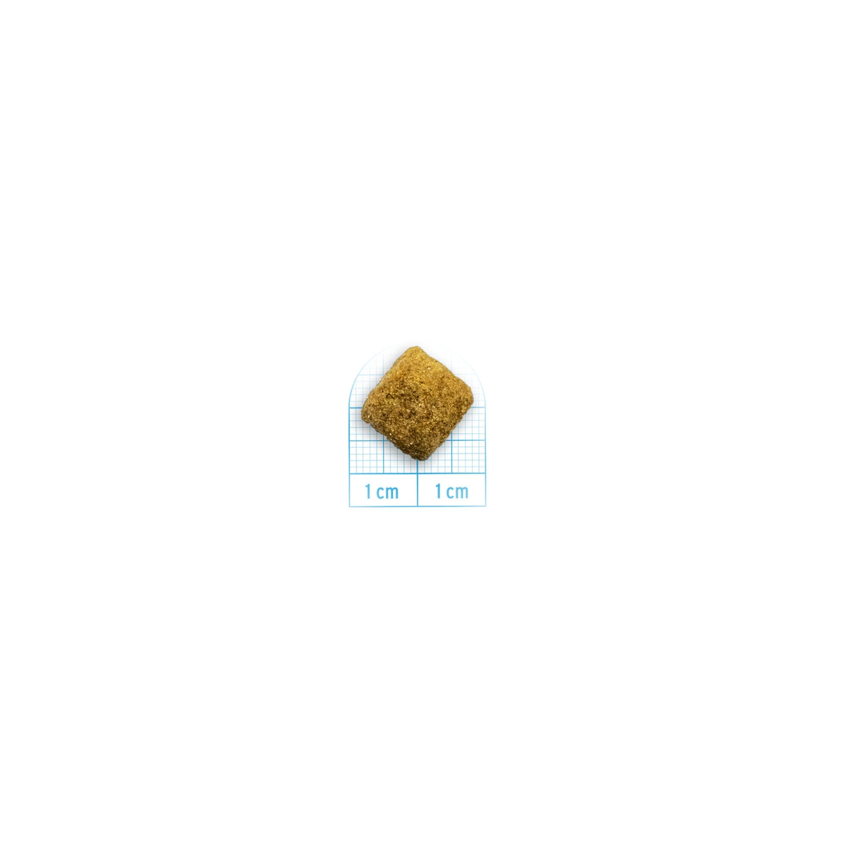 Forza 10 Intestinal Colon Fase 1 Agnello e Sorgo Bianco per Cani Adulti