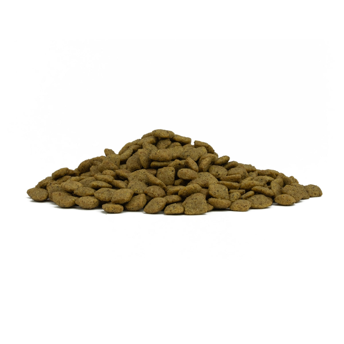 Forza 10 Intestinal Colon Fase 1 Agnello e Sorgo Bianco per Cani Adulti