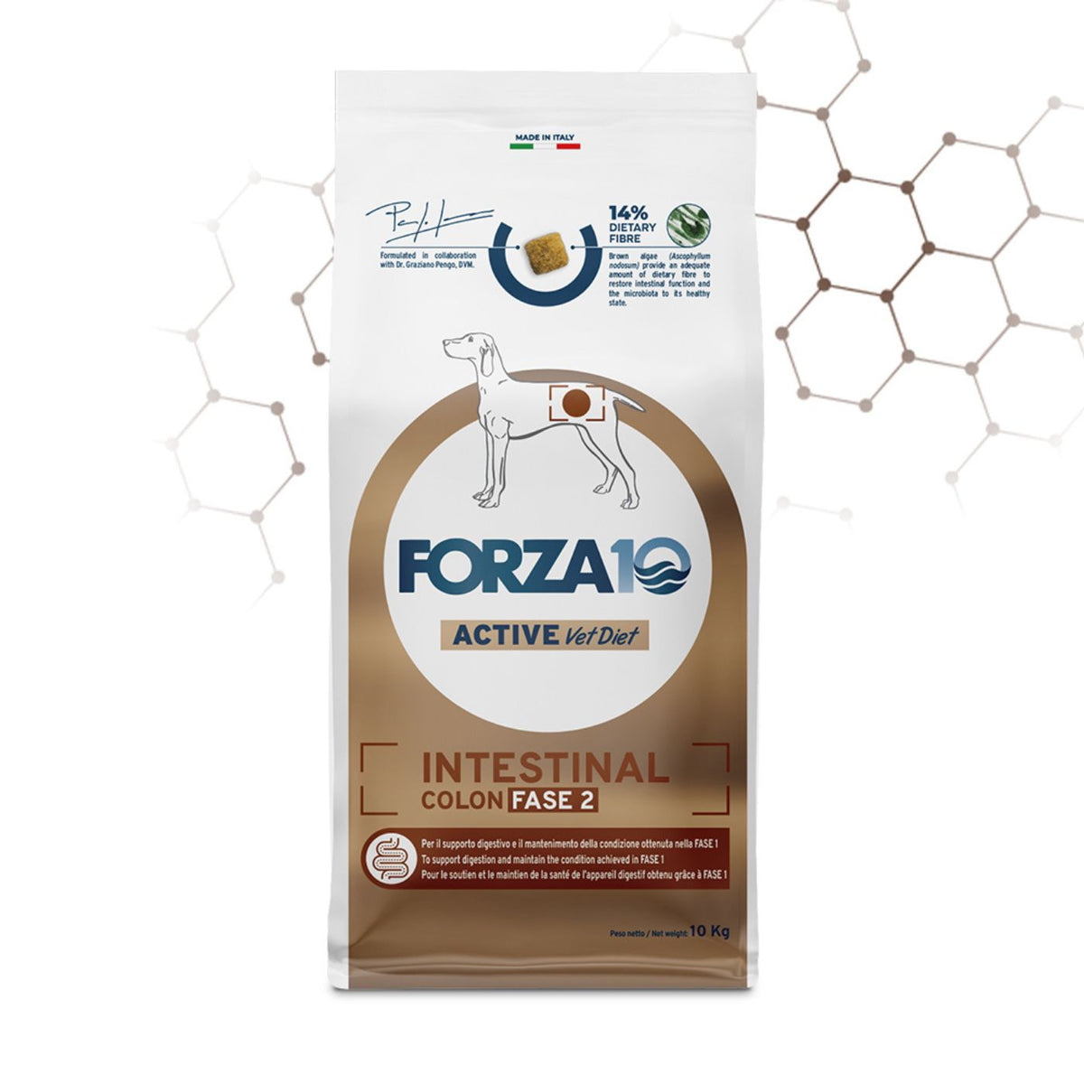 Forza 10 Intestinal Colon Fase 2 Active Pesce per Cani Adulti