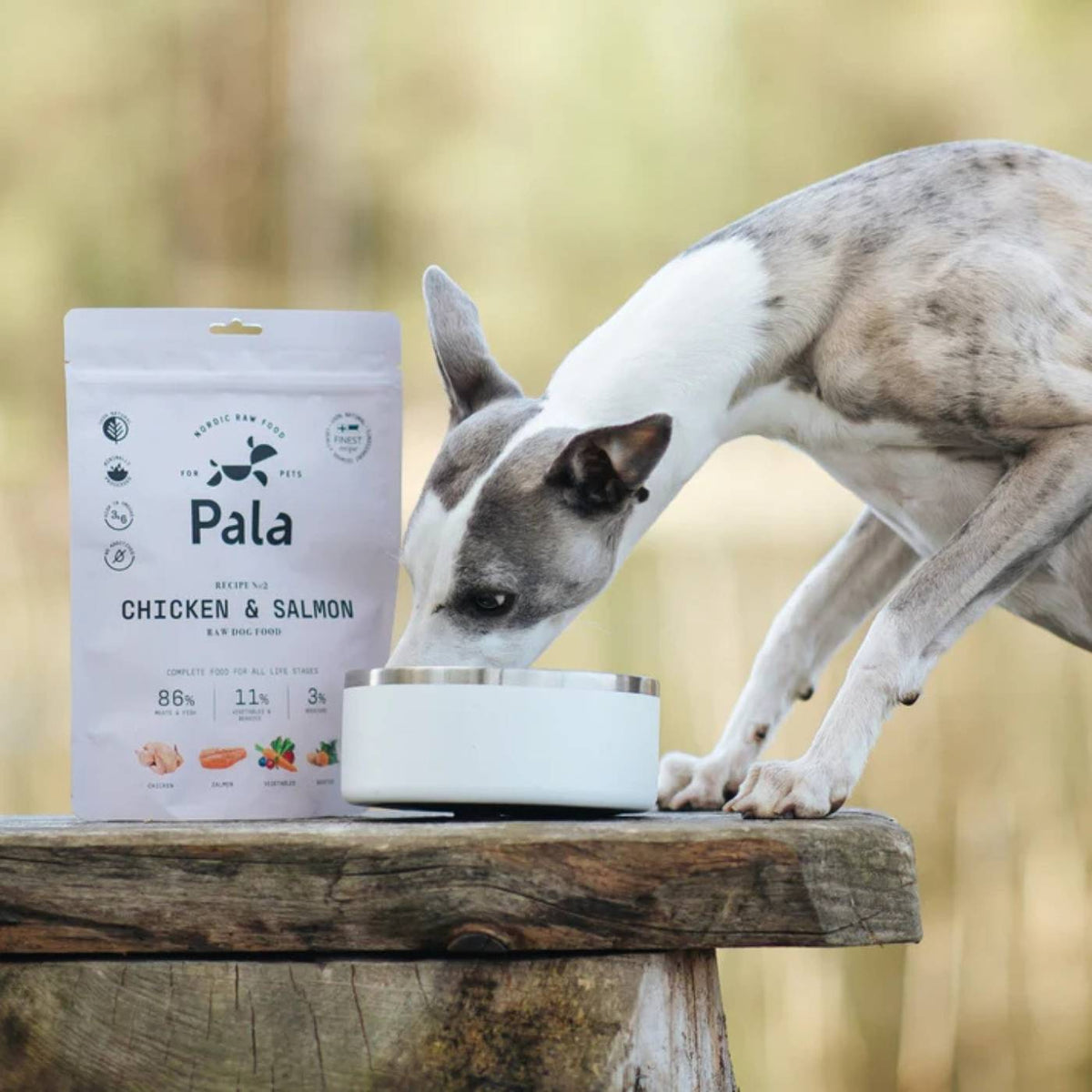 Pala Alimento Completo per Cani con Pollo & Salmone Ricetta N° 2