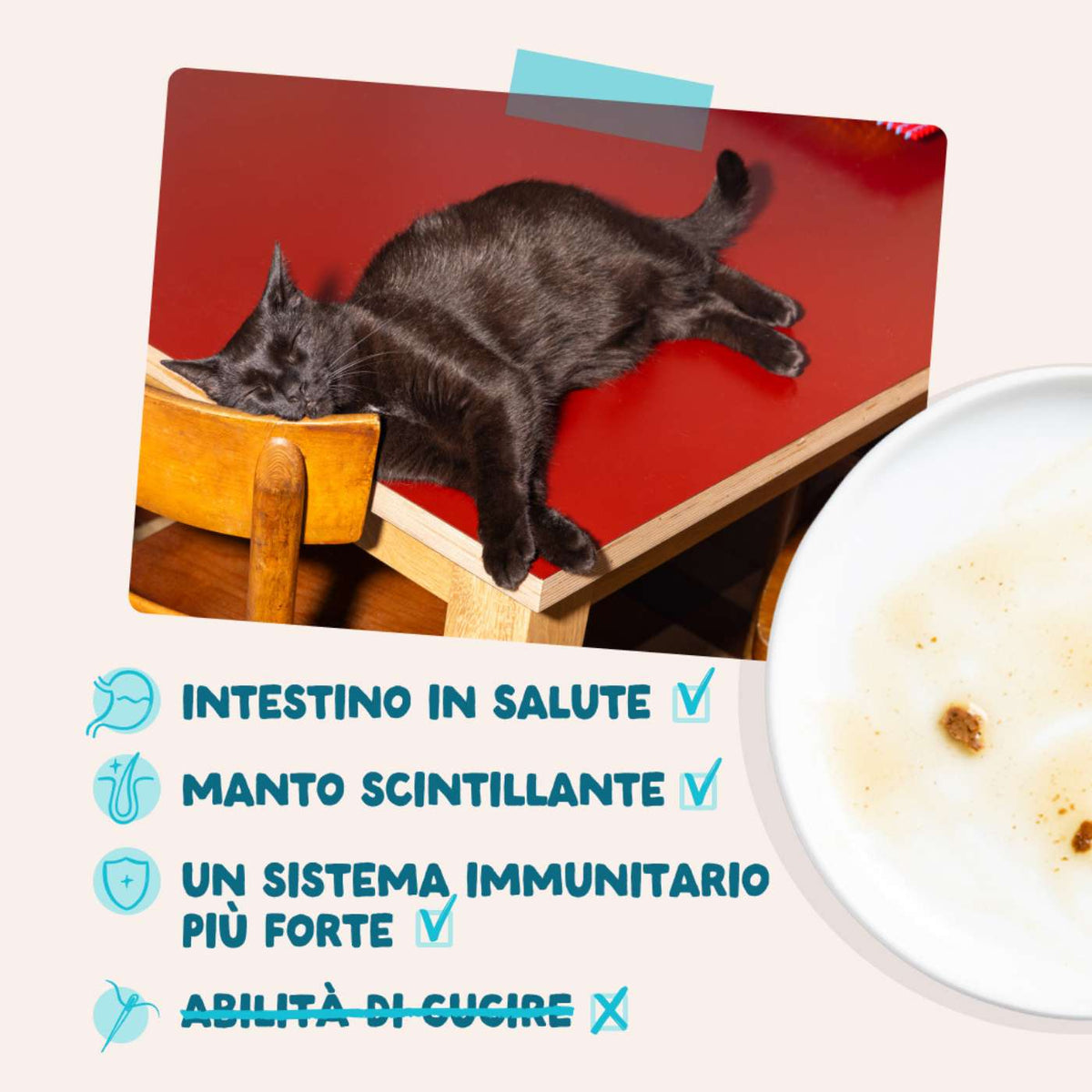 Edgard & Cooper Bocconcini in Salsa Anatra e Pollo per Gattini in Bustina 85 g