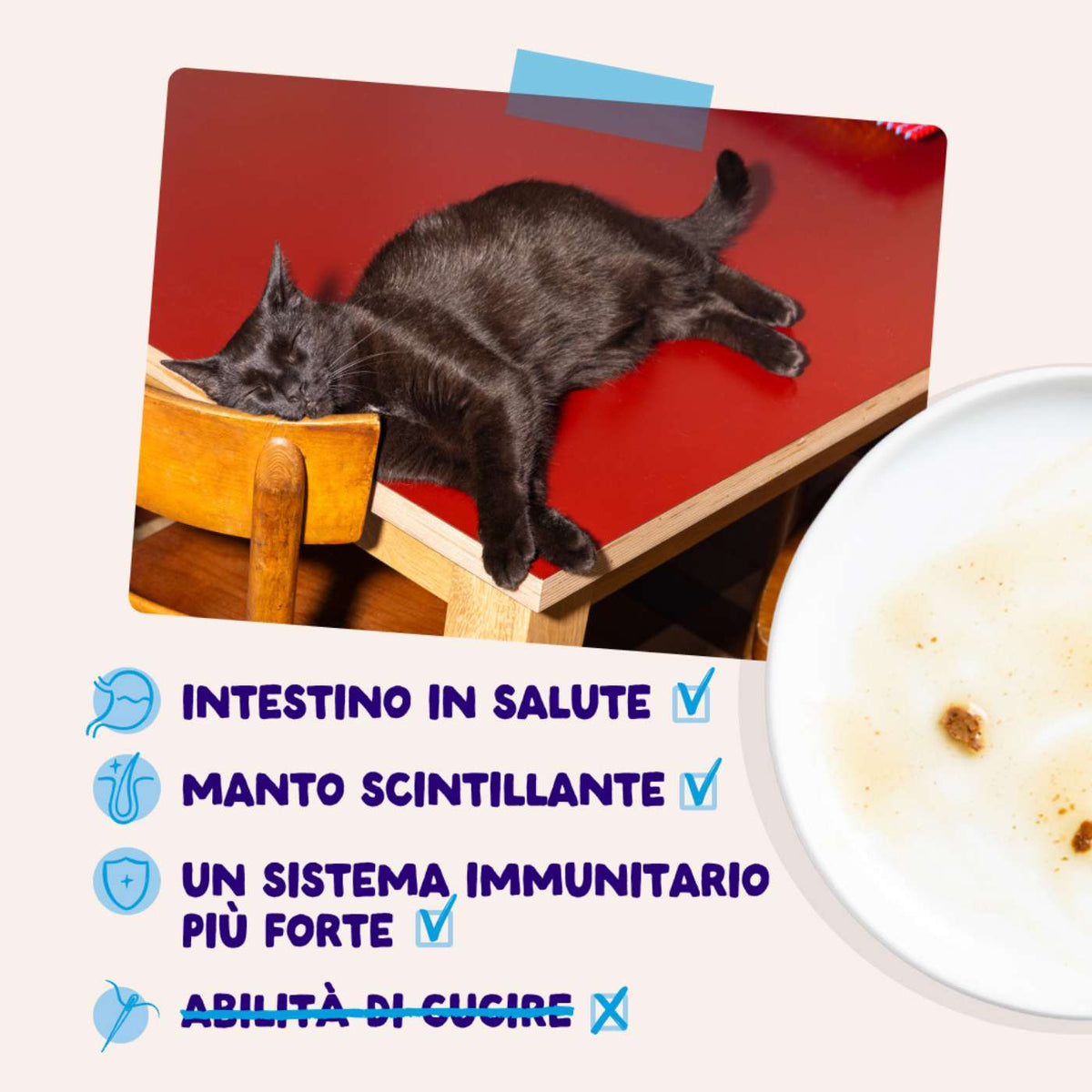 Edgard & Cooper Bocconcini in Salsa Tonno e Pollo per Gatti Adulti in Bustina 85 g