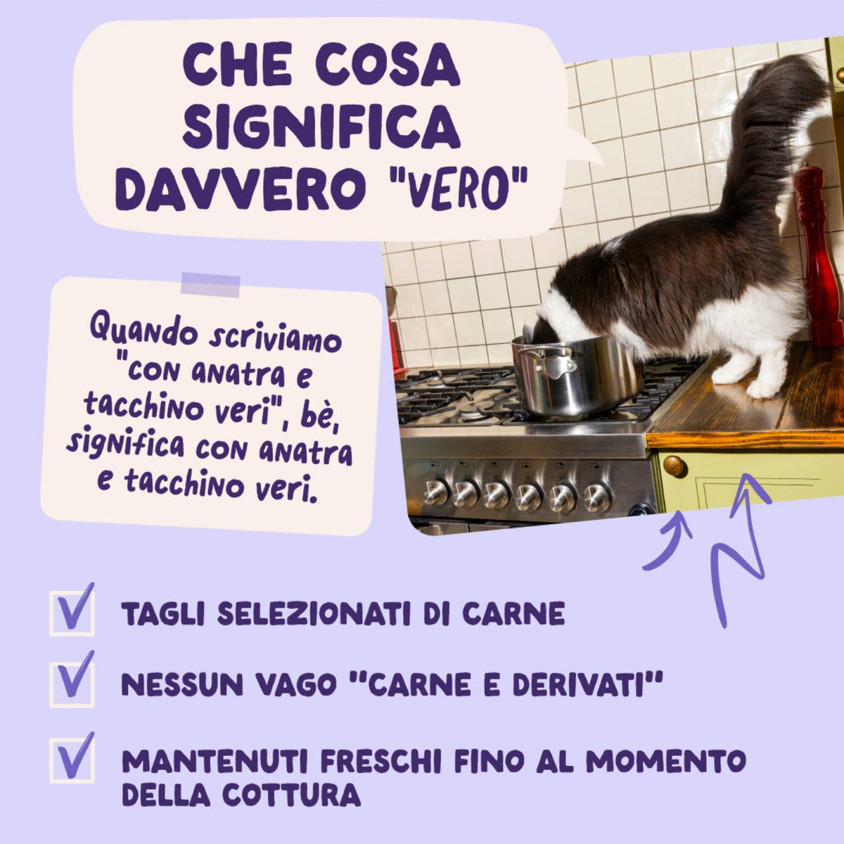 Edgard & Cooper Bocconcini in Salsa Anatra e Tacchino per Gatti Adulti in Bustina 85 g