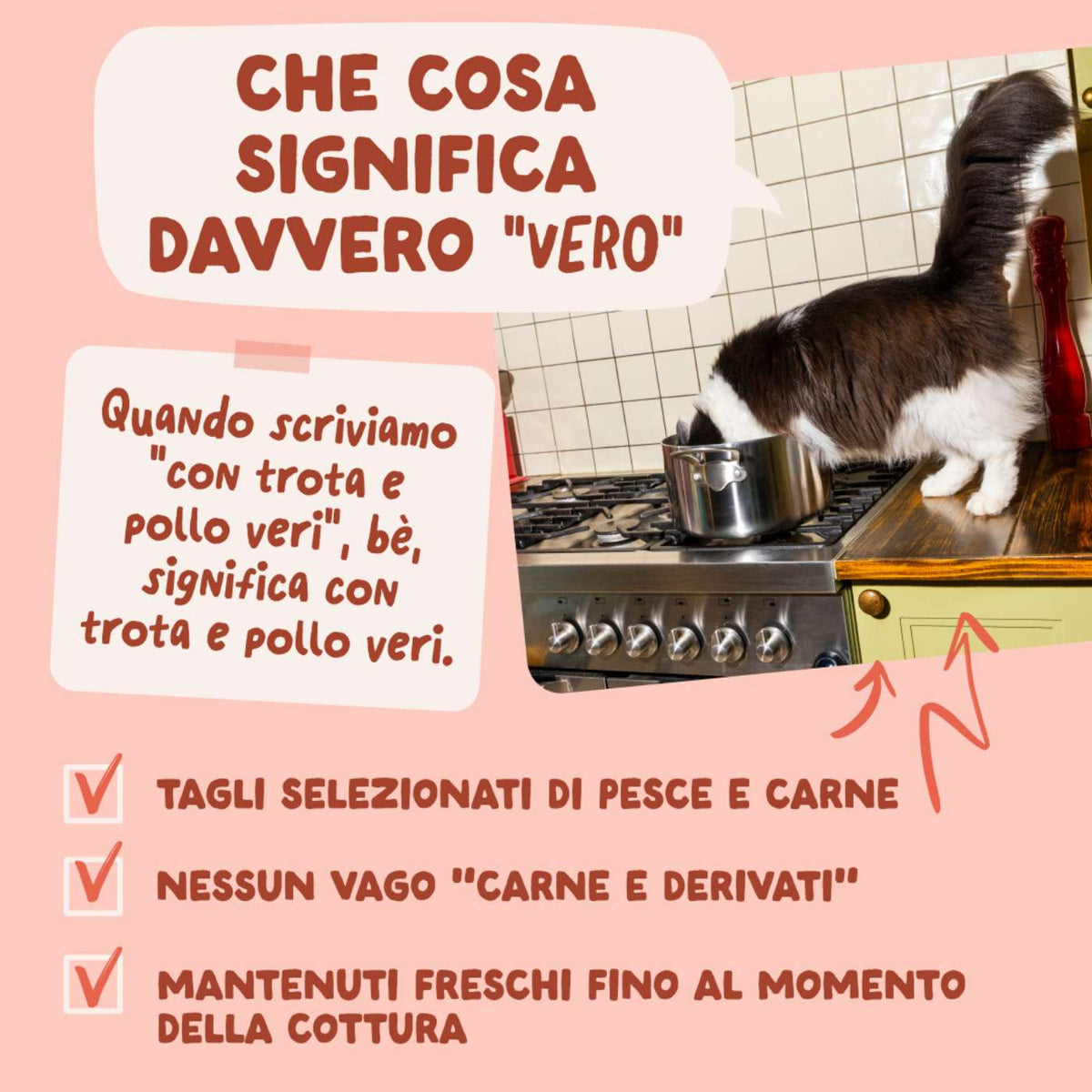 Edgard & Cooper Bocconcini in Salsa Trota d'acqua dolce e Pollo per Gatti in Bustina 85 g