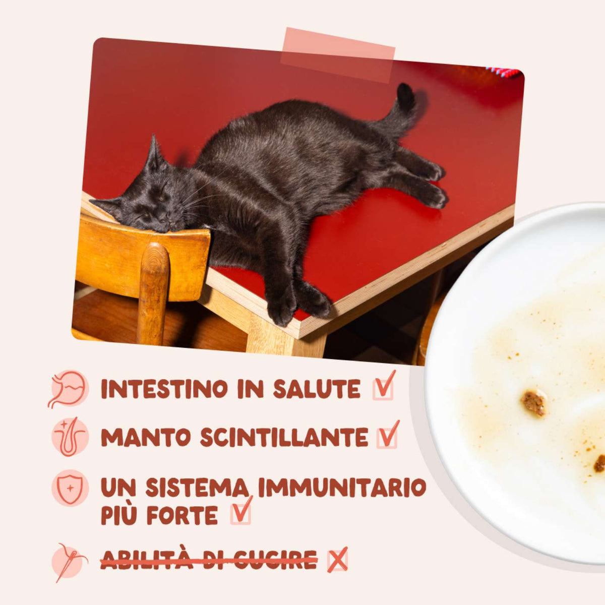 Edgard & Cooper Bocconcini in Salsa Pollo per Gatti in Bustina 85 g