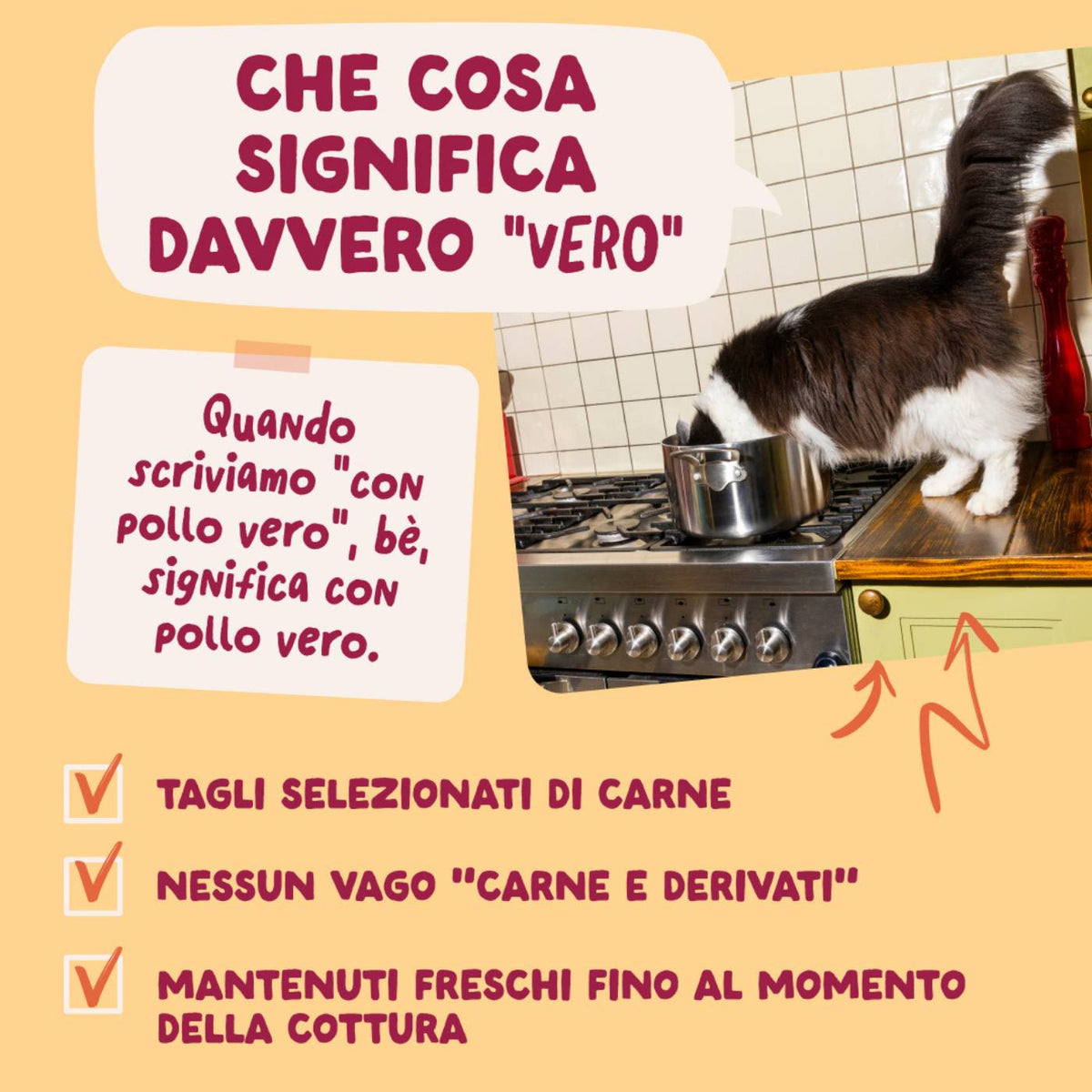Edgard & Cooper Bocconcini in Salsa Pollo per Gatti in Bustina 85 g