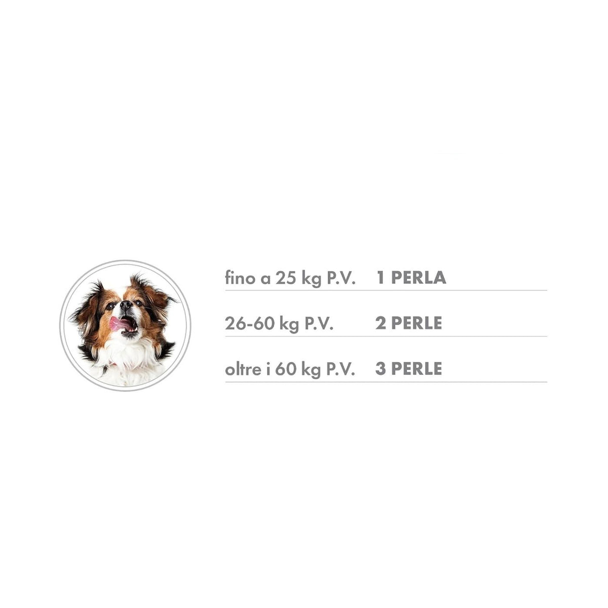 NBF Lanes Artikrill Dol Cane – Supporto Articolare per Cani Adulti e Senior in Perle