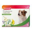 Cani Taglia Piccola 3 Pipette x 1 ml
