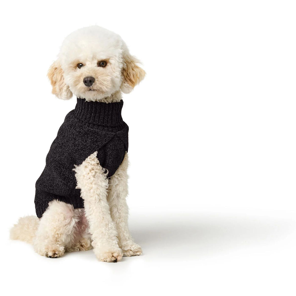 Hunter Birka Nero – Maglione per Cani Caldo e Confortevole