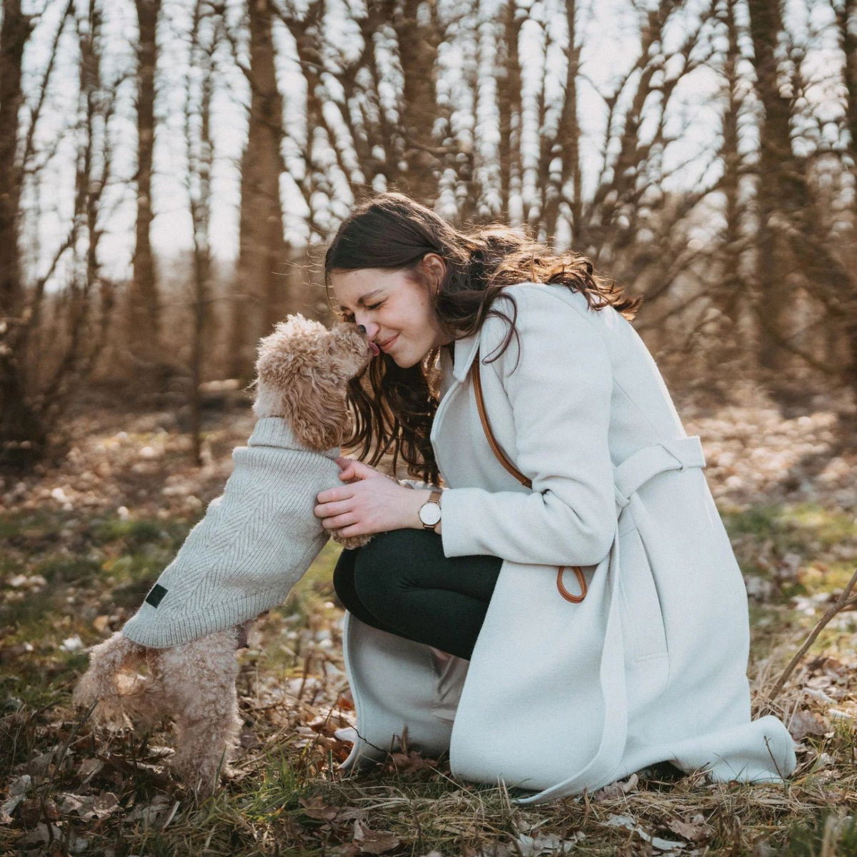 HUNTER GENF Beige – Maglione in Maglia per Cani con Collo Alto