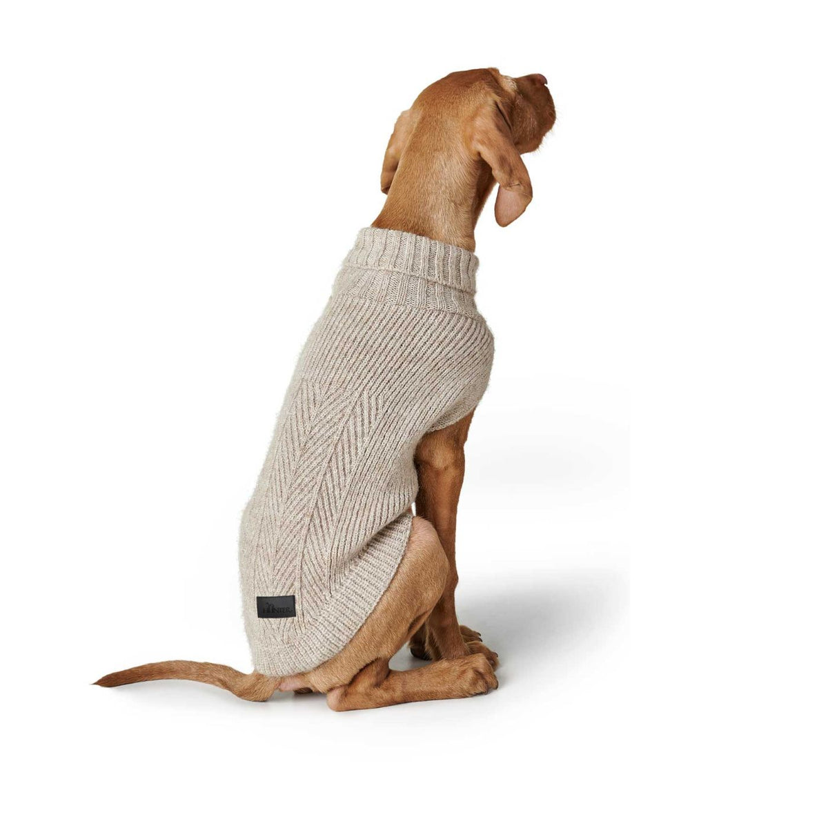 HUNTER GENF Beige – Maglione in Maglia per Cani con Collo Alto