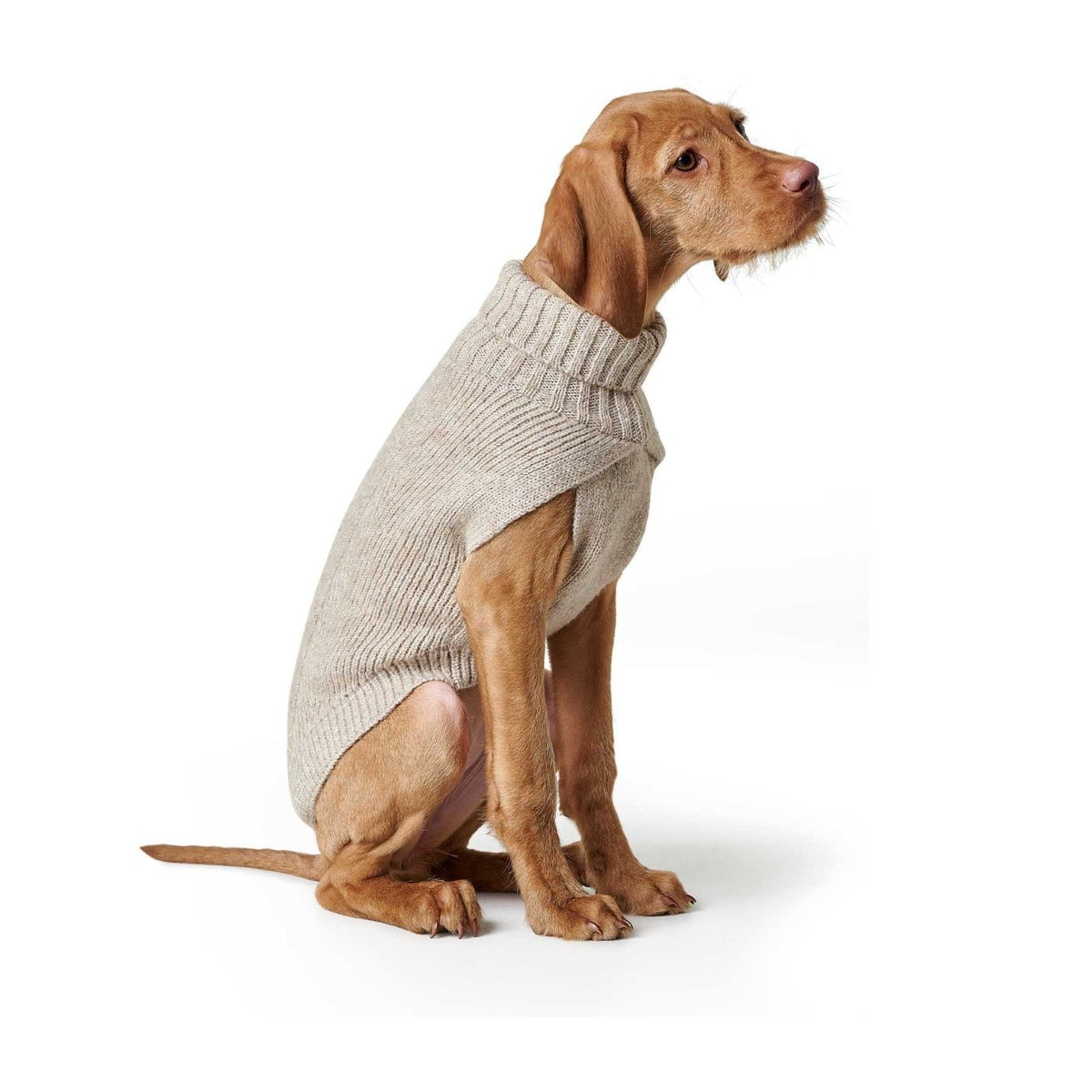 HUNTER GENF Beige – Maglione in Maglia per Cani con Collo Alto