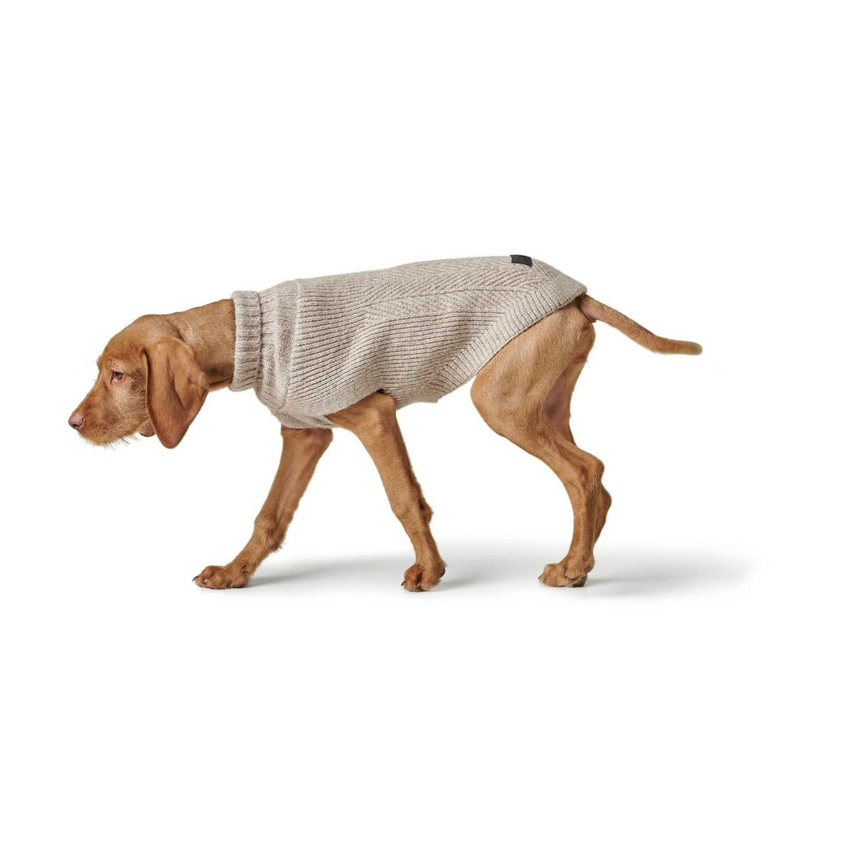 HUNTER GENF Beige – Maglione in Maglia per Cani con Collo Alto