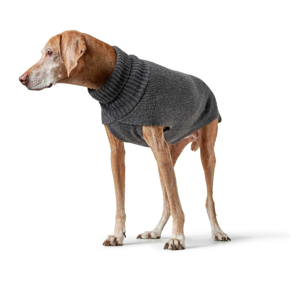 HUNTER GENF Antracite – Maglione in Maglia per Cani con Collo Alto