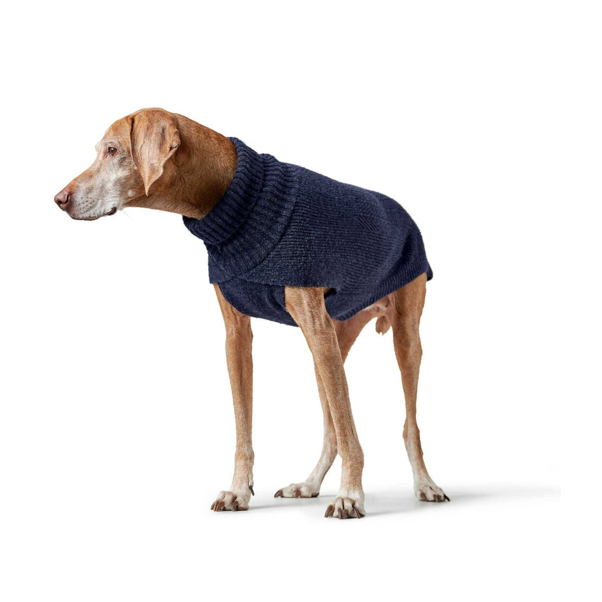 HUNTER GENF Blu Scuro – Maglione in Maglia per Cani con Collo Alto