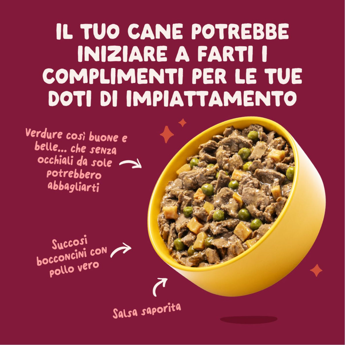 Edgard & Cooper Spezzatini in Busta per Cani Senior con Pollo 150 g