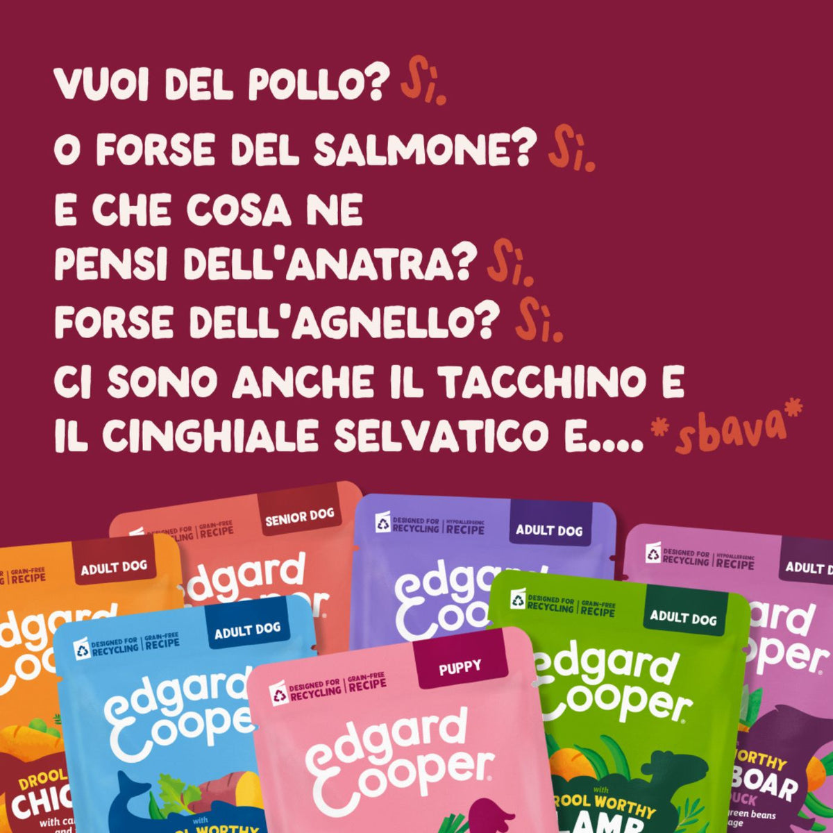 Edgard & Cooper Spezzatini in Busta per Cani Senior con Pollo 150 g