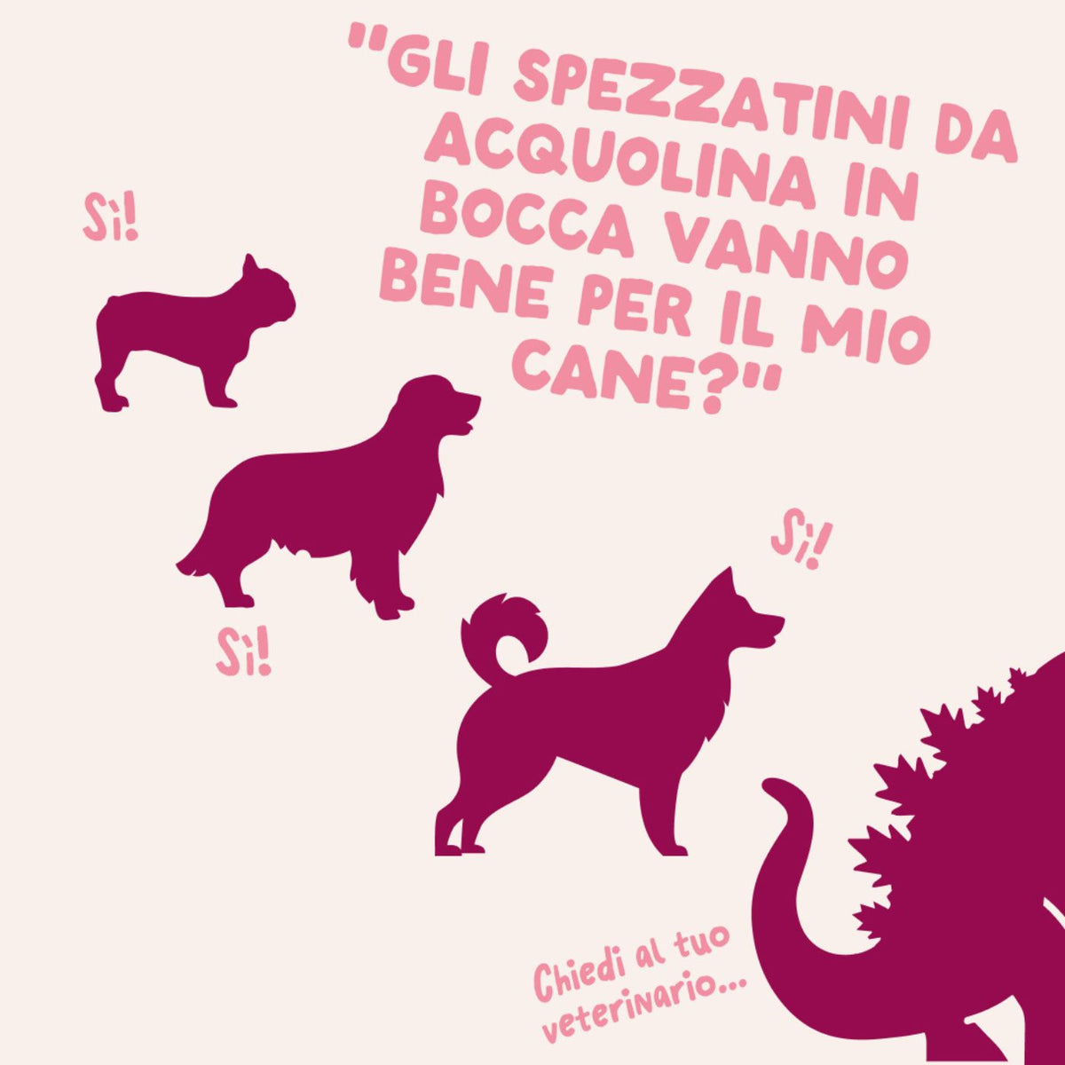 Edgard & Cooper Spezzatini in Busta per Cuccioli con Tacchino 150 g