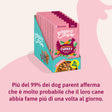 8 Buste