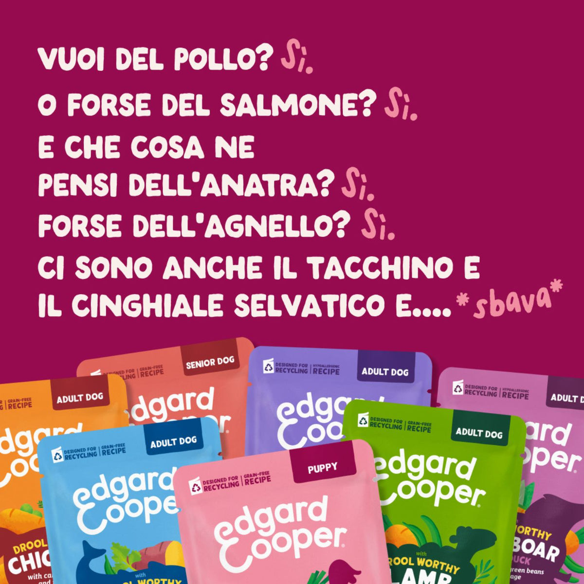 Edgard & Cooper Spezzatini in Busta per Cani Adulti Multipack 4 Gusti