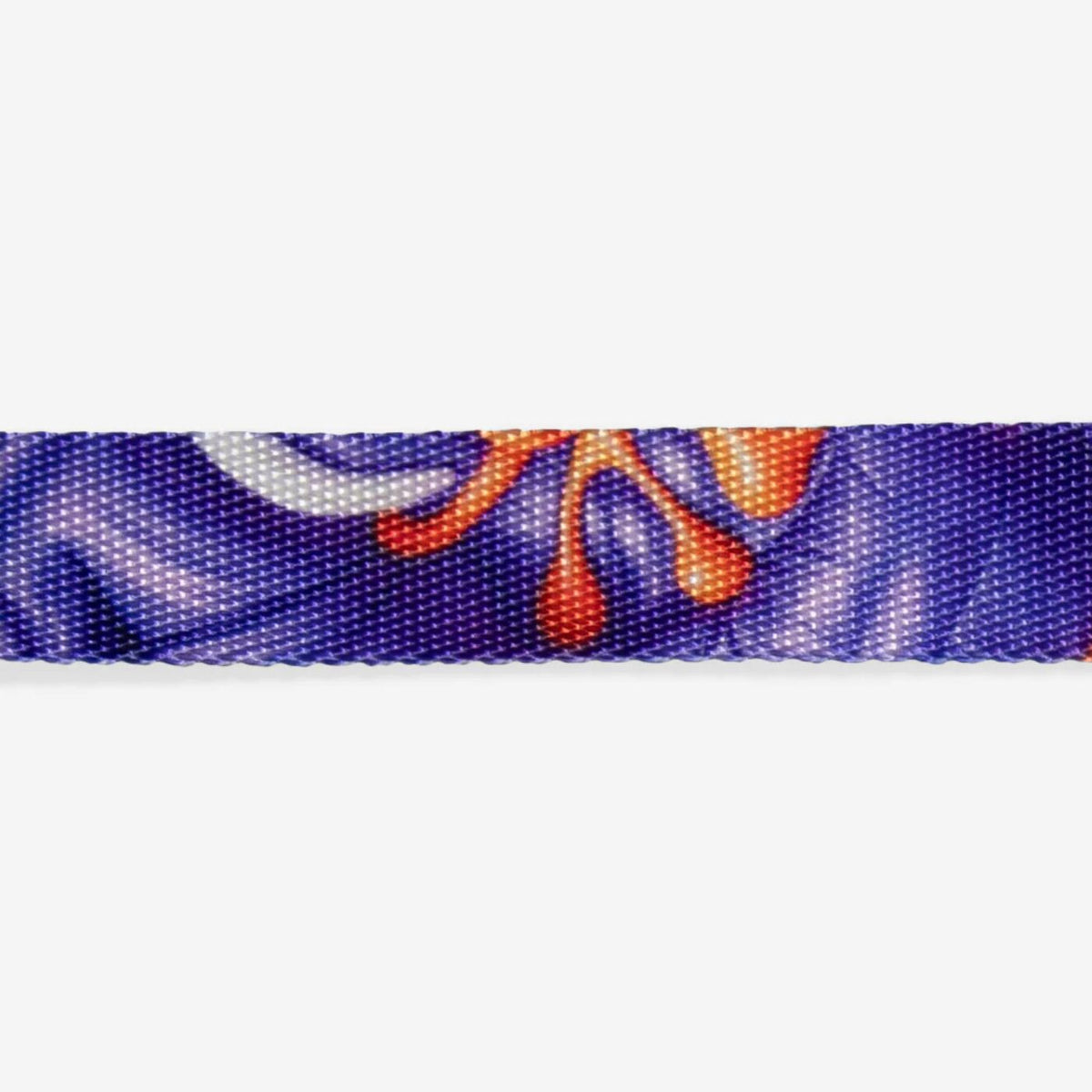 Zee.Cat Collare per Gatti Regolabile Puff H3D 20 - 30 cm