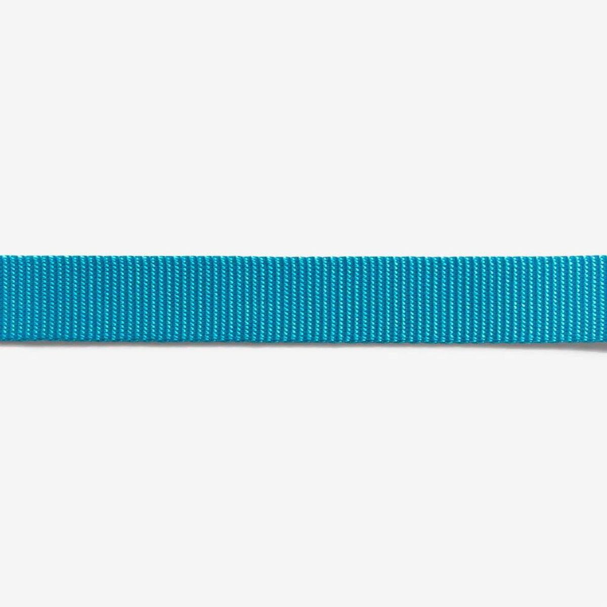 Zee.Dog Collare Regolabile per Cani Ultimate Blue Led