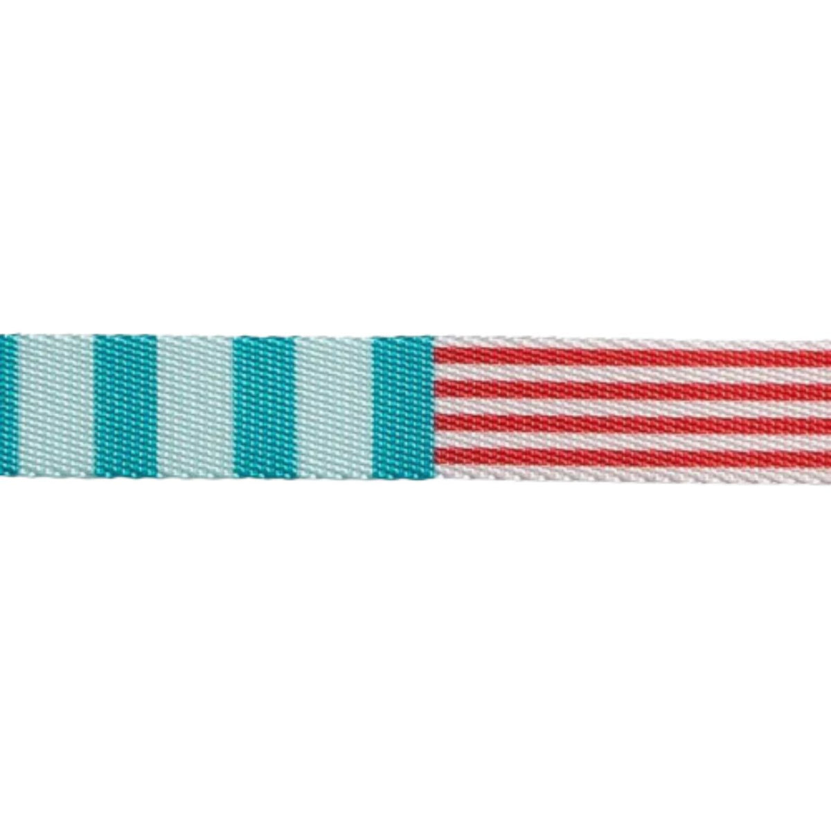 Zee.Dog Collare Regolabile per Cani Yacht