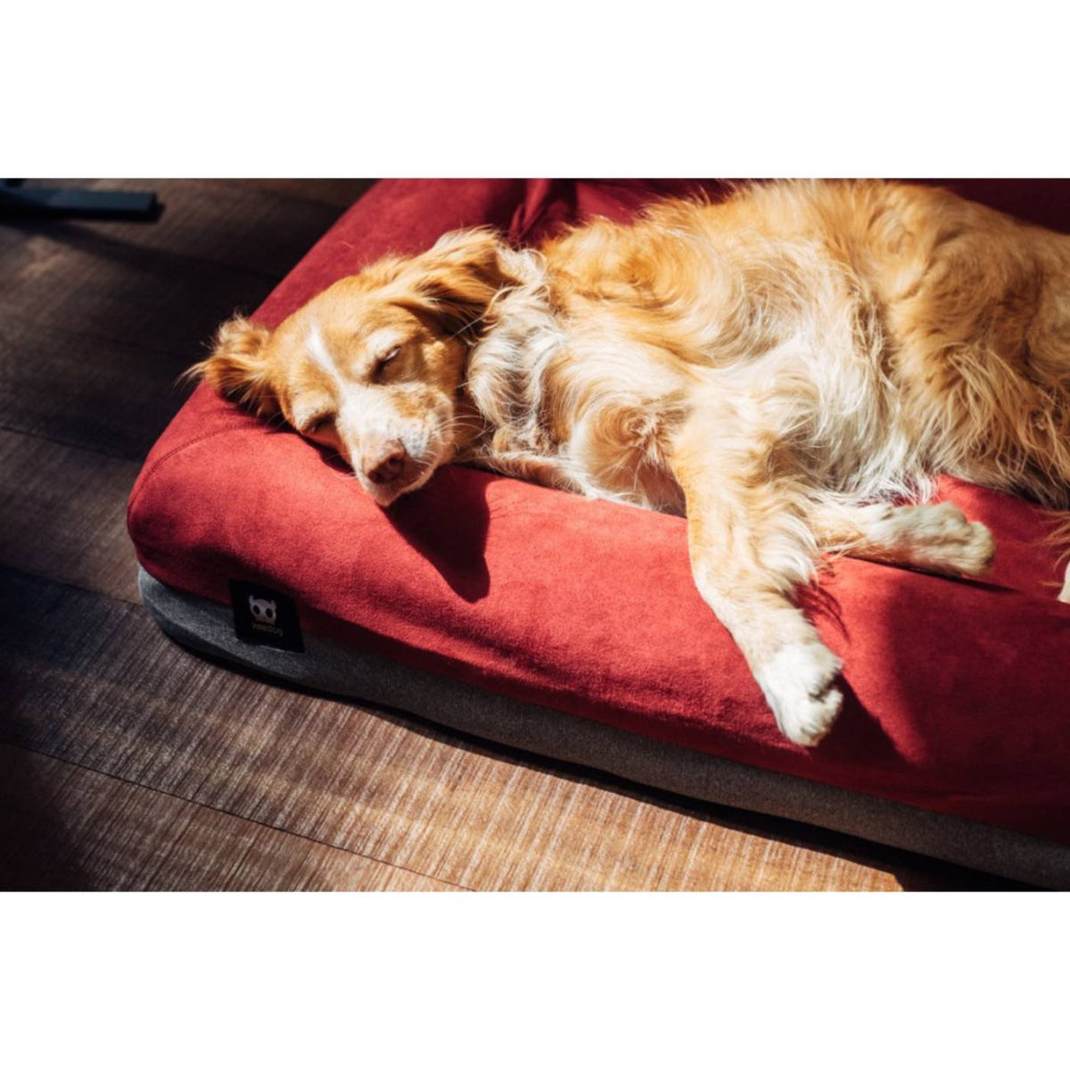 Zee.Dog Fodera per Cuccia per Cani Zee.Bed Rossa