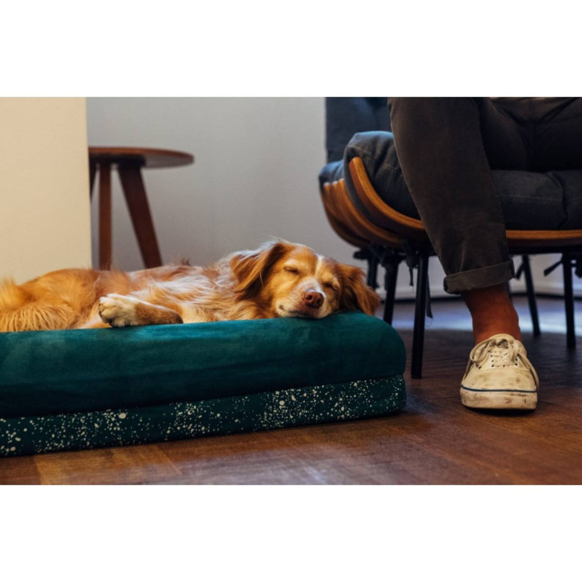 Zee.Dog Fodera per Cuccia per Cani Zee.Bed Verde