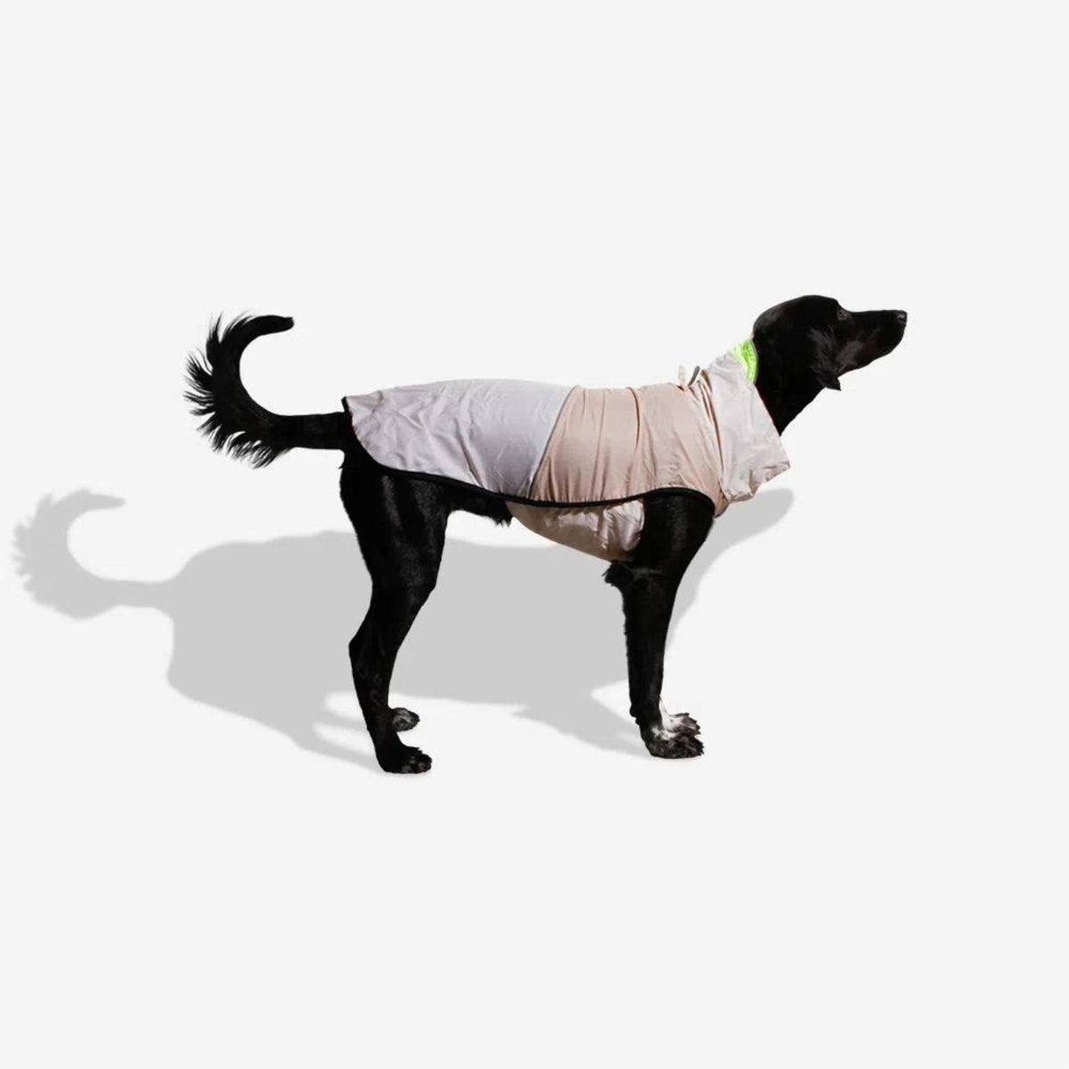 Zee.Dog Impermeabile per Cani Oatmeal