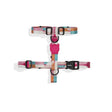 XS torace 23-38 cm