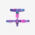 XS torace 23-38 cm