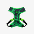 XS