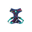 XS