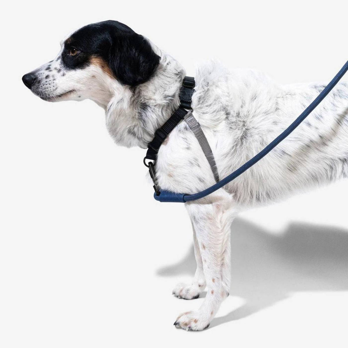 Zee.Dog Pettorina Soft-Walk Gotham per Cani