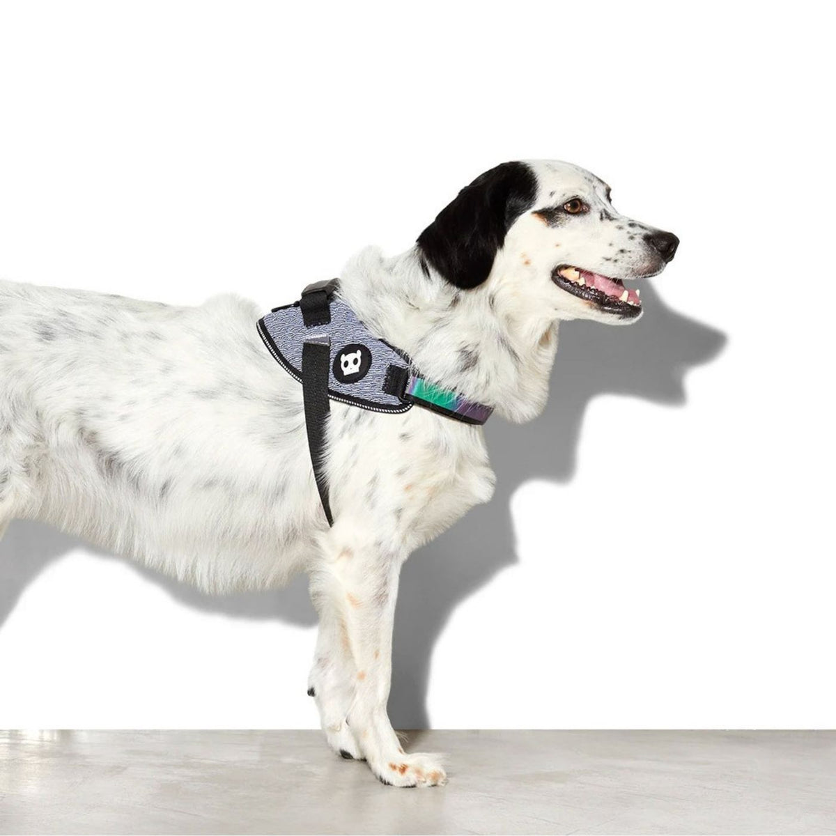 Zee.Dog Pettorina con Maniglia per Cani Urban