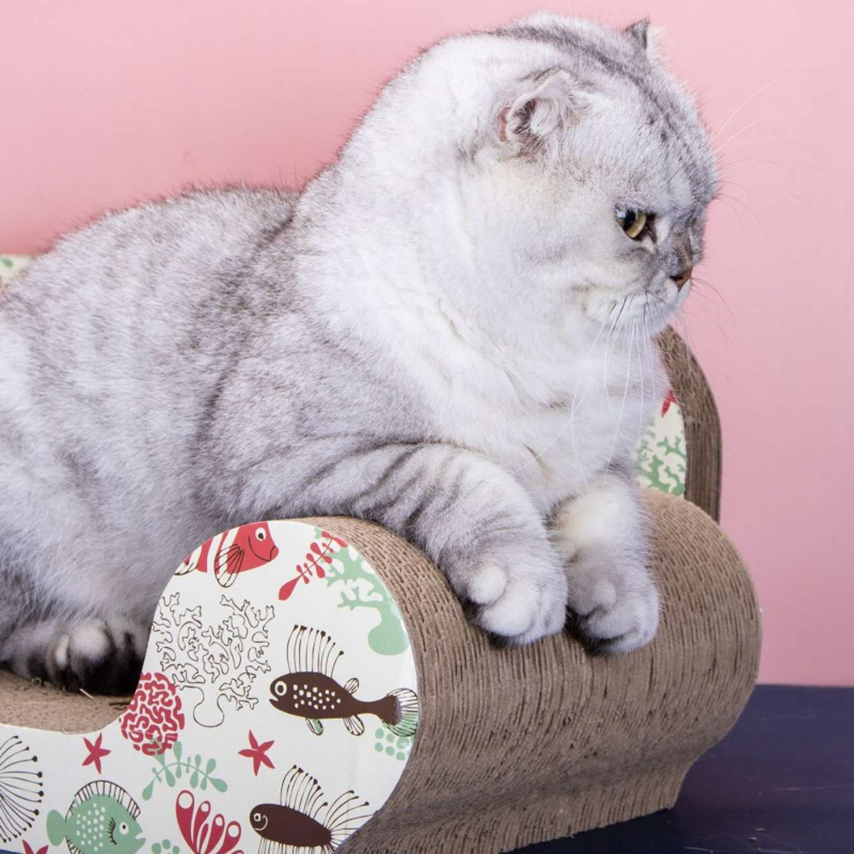 Tiragraffi per Gatti Divanetto Pesciolini Nobleza
