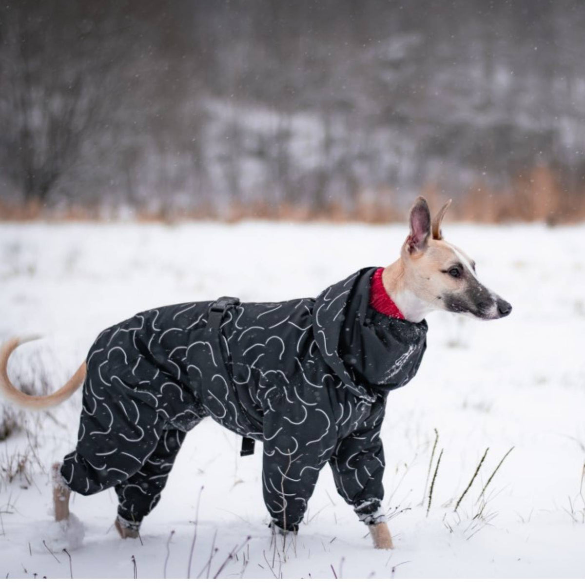 Paikka Giacca Invernale Lunga ad Alta Visibilità per Cani Nero