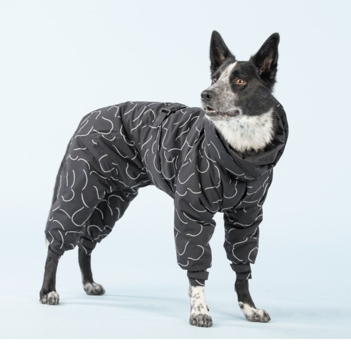 Paikka Giacca Invernale Lunga ad Alta Visibilità per Cani Nero