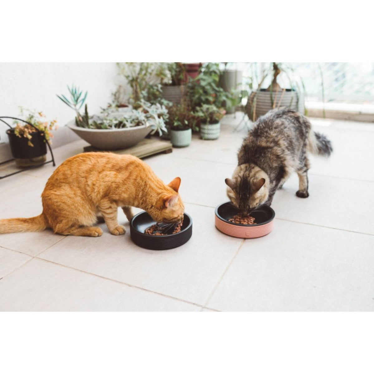 Zee.Cat Ciotola per Gatti Duo Bowl d.18cm 430ml
