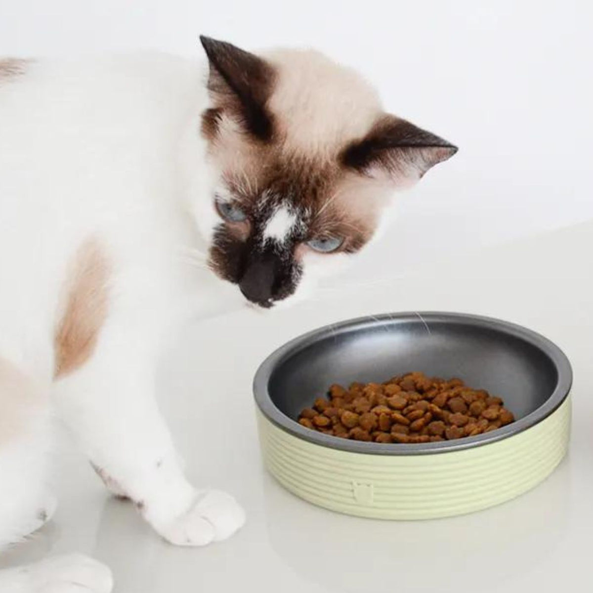 Zee.Cat Ciotola per Gatti Duo Bowl d.18cm 430ml